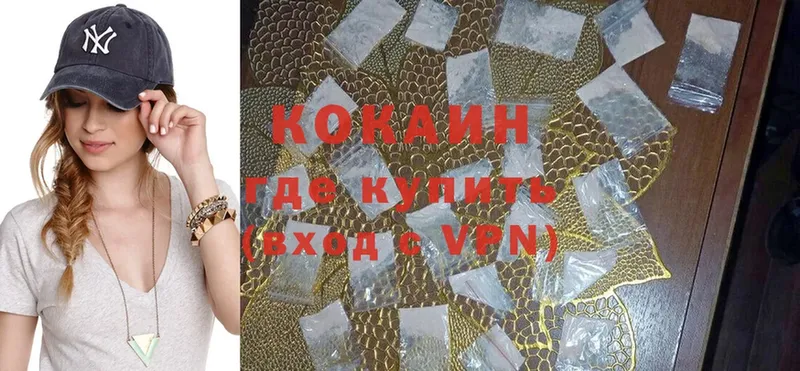 купить закладку  это телеграм  COCAIN Fish Scale  Заволжск 